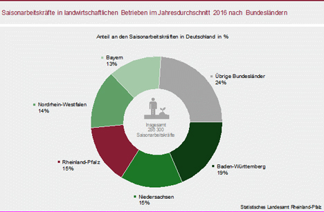 Saisonale Helfer wichtig für die Landwirtschaft in Rheinland-Pfalz